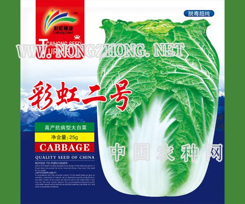彩虹二号
